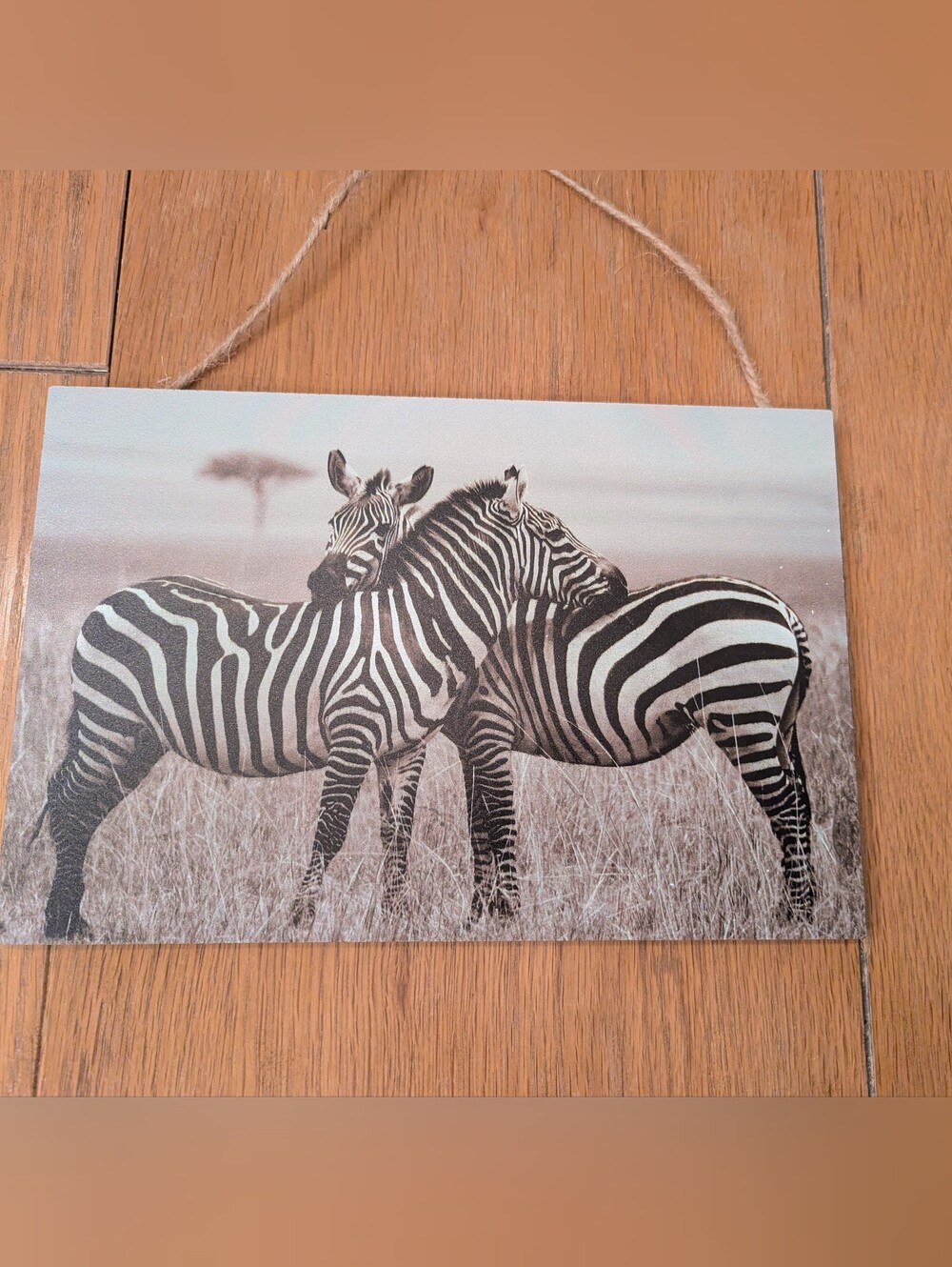 Black & White Zebra Wall Art Hanging Canvas